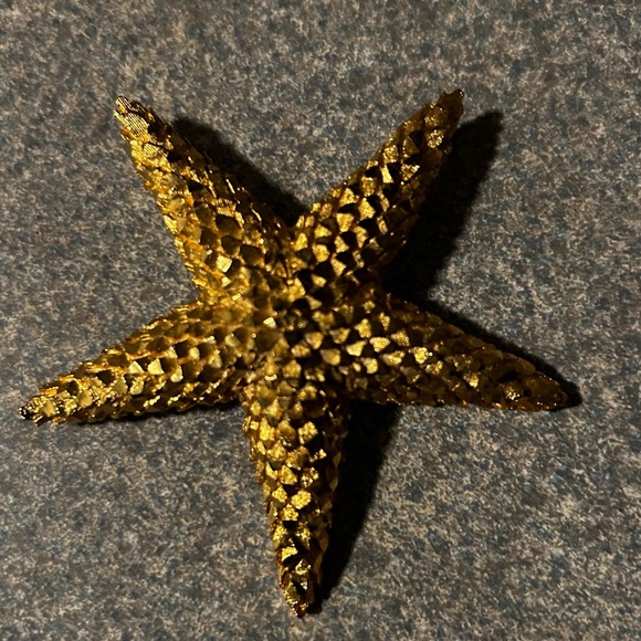Sonoma Gray Fedora Hat with a Large Starfish or Star of Texas brooch/pendent - Picture 8 of 9
